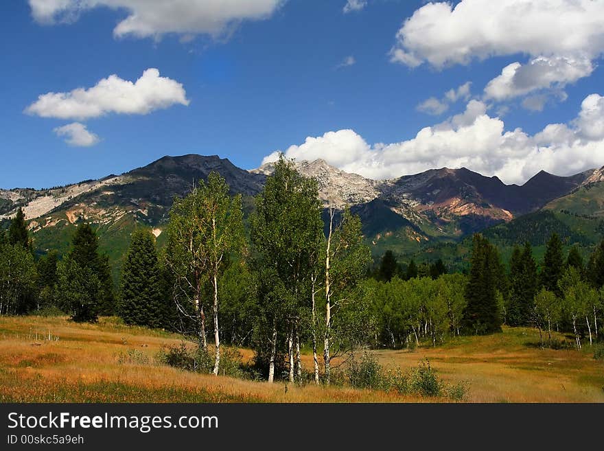 High Mountain Flat in the summer showing all the colors with mountains in the background. High Mountain Flat in the summer showing all the colors with mountains in the background