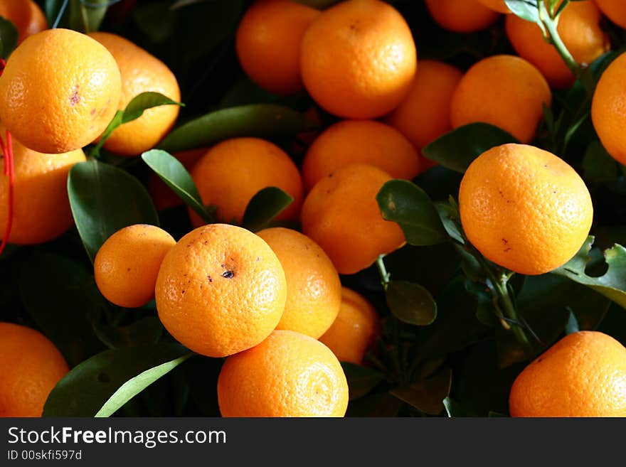 The gift of Chinese New Year and Spring Festival ,many oranges