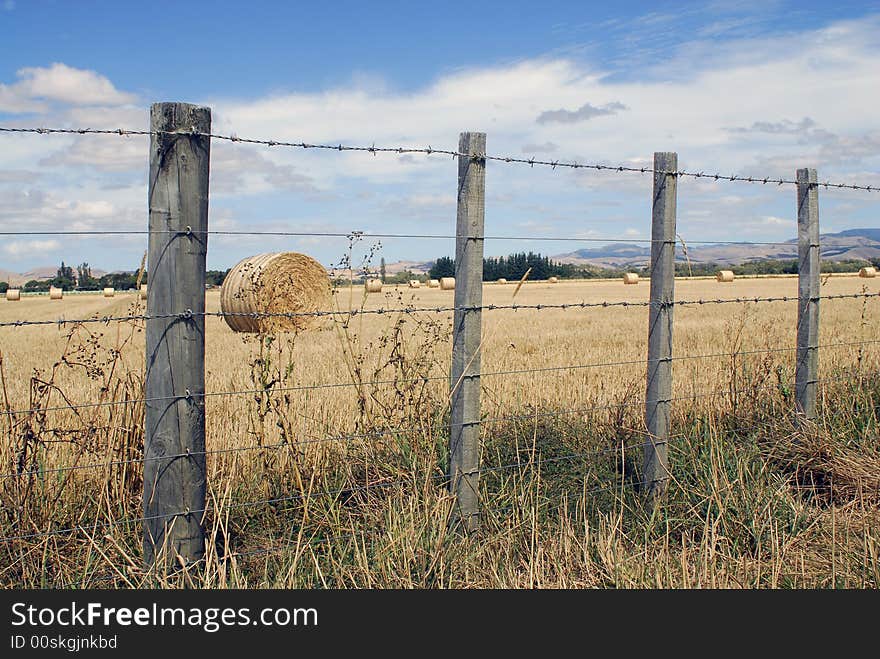 A field full of hay bales in the summertime outside Wellington, in New Zealand. A field full of hay bales in the summertime outside Wellington, in New Zealand