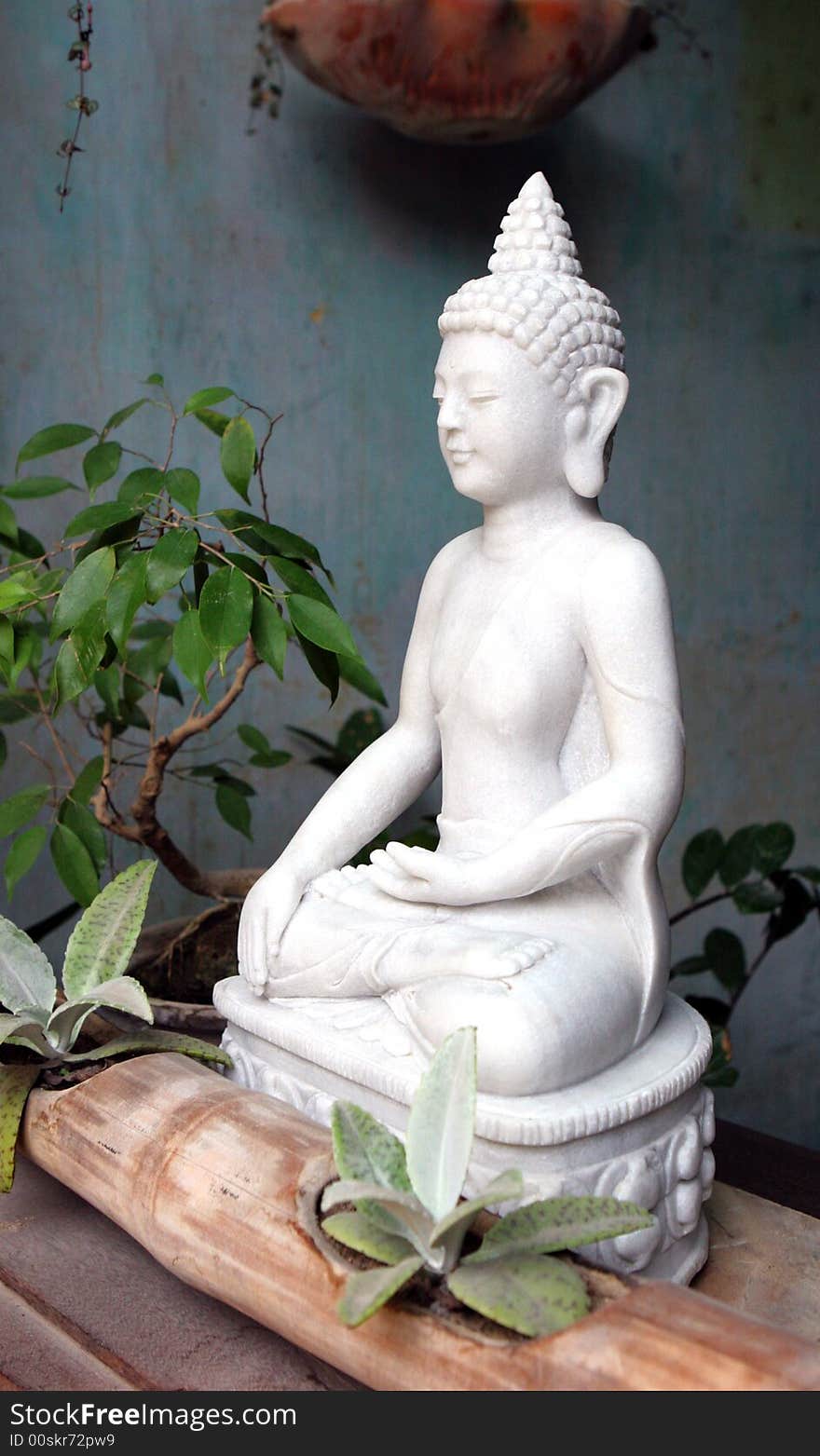 Buddha Statue