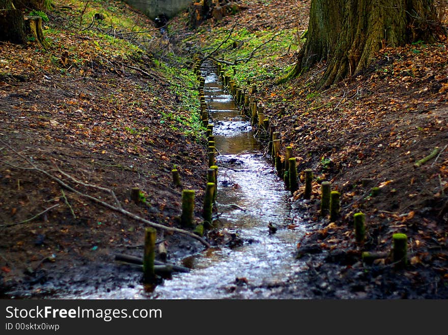 Autumn stream in the park