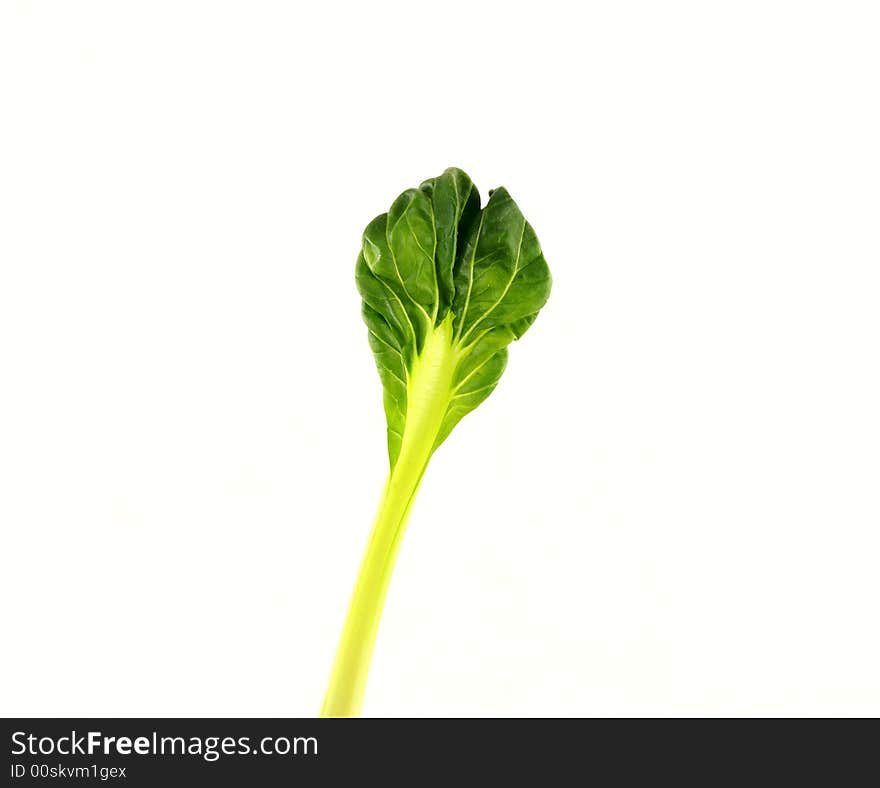 Photo of green vegetables isolated on white. Photo of green vegetables isolated on white