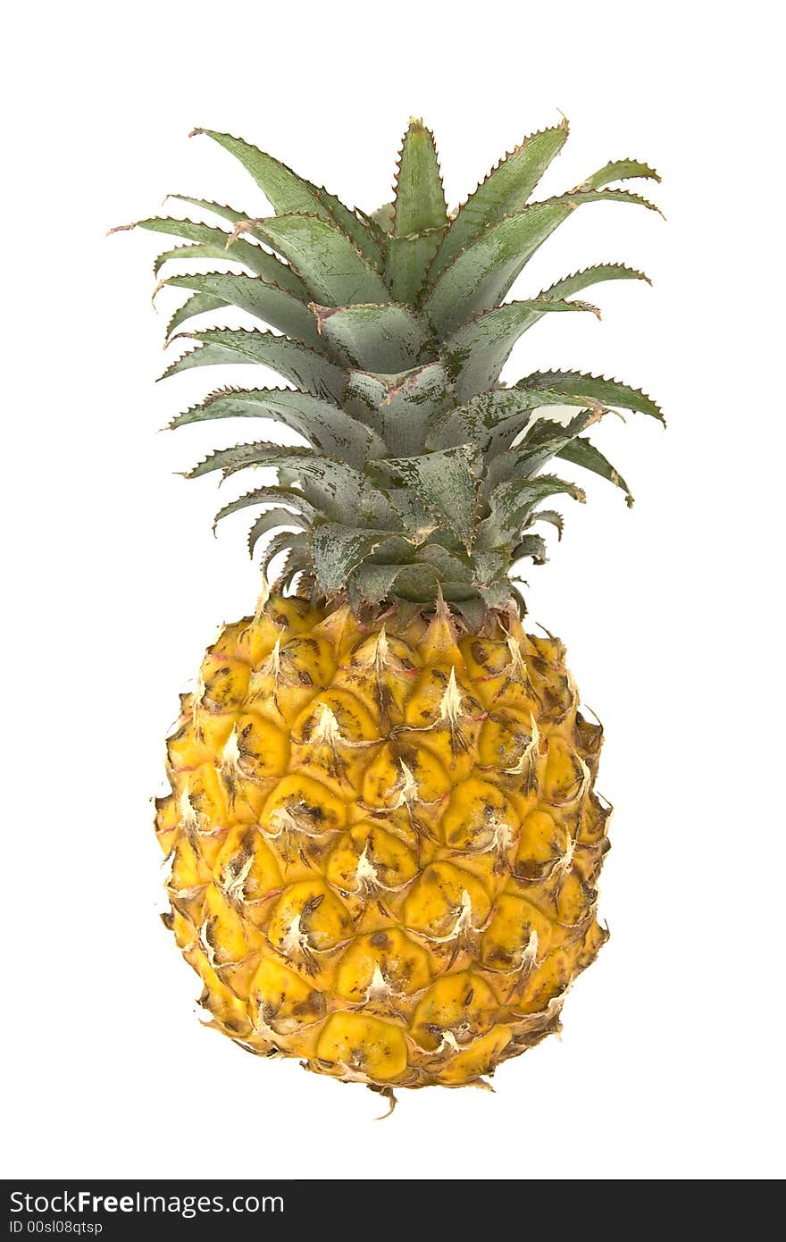 Pineapple