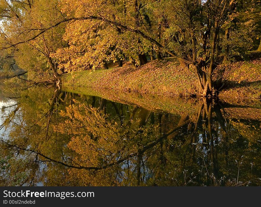 Autumn scenery - lake and colorful forest