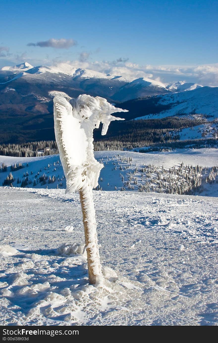 Ice bird figure on the top of the mount in winter resort of Ukraine