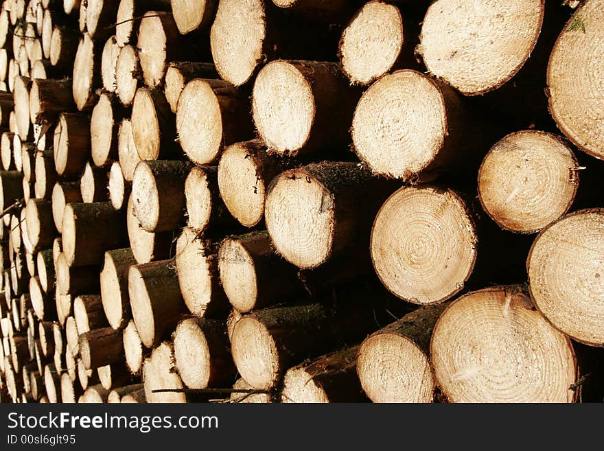 Stack of wood