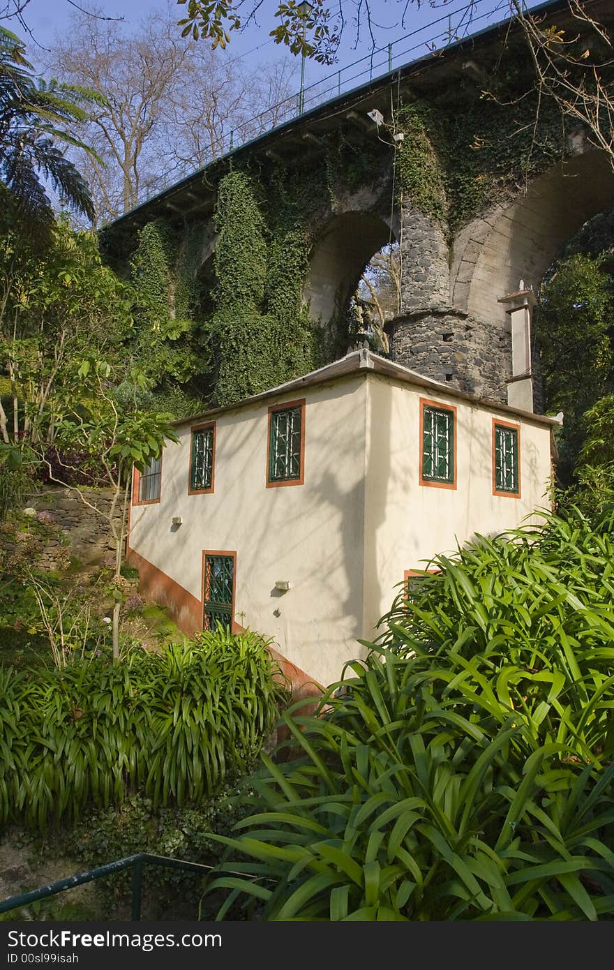 Garden in Madeira Island - Atantic Ocean _ Portugal