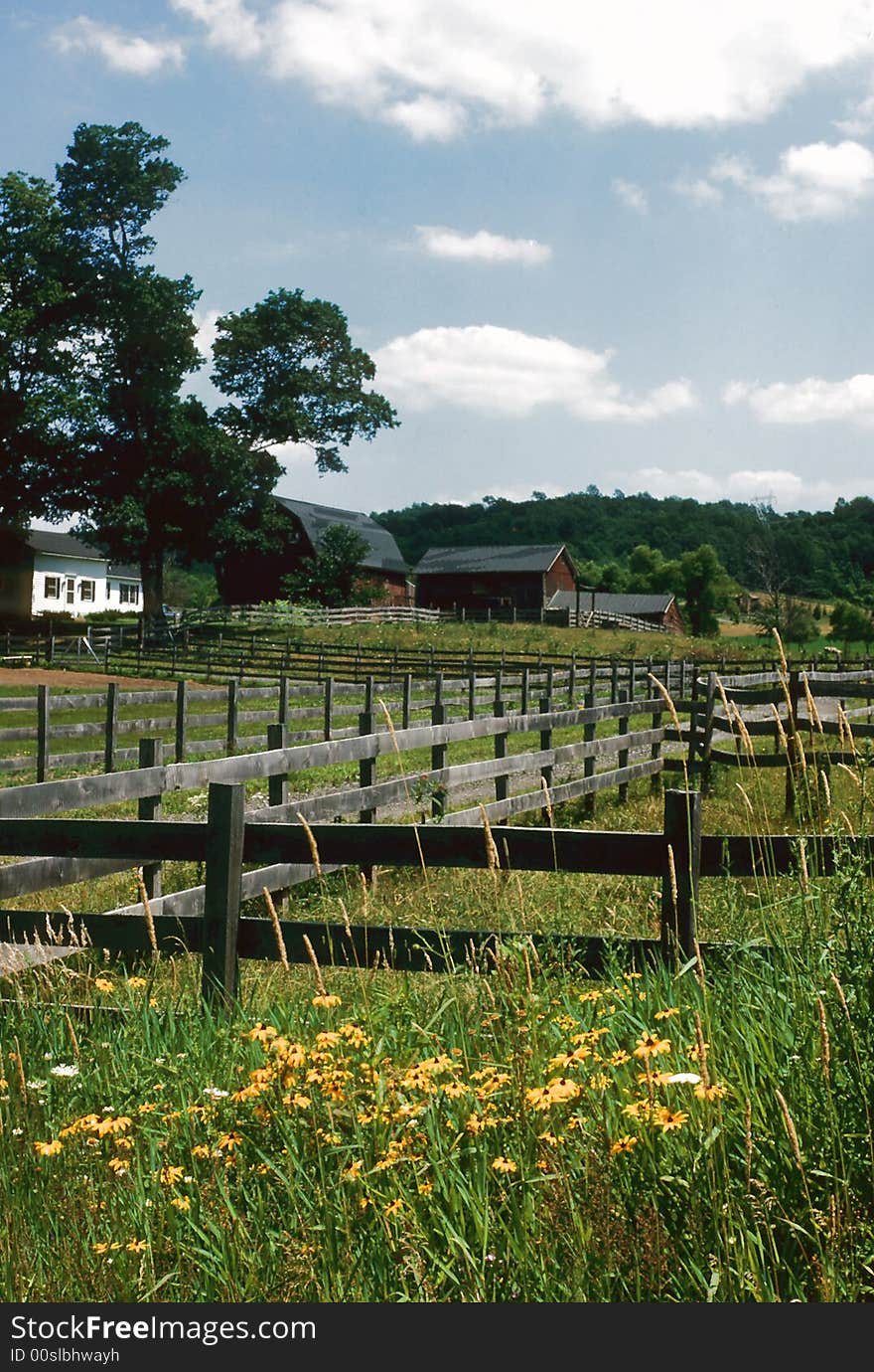 A Farm in the distance surrounded by an overgrown field. A Farm in the distance surrounded by an overgrown field