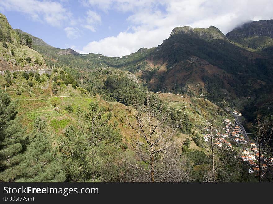 Madeira Landscape