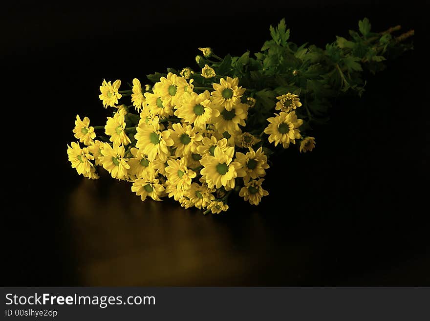 Bunch of yellow daisies on black background