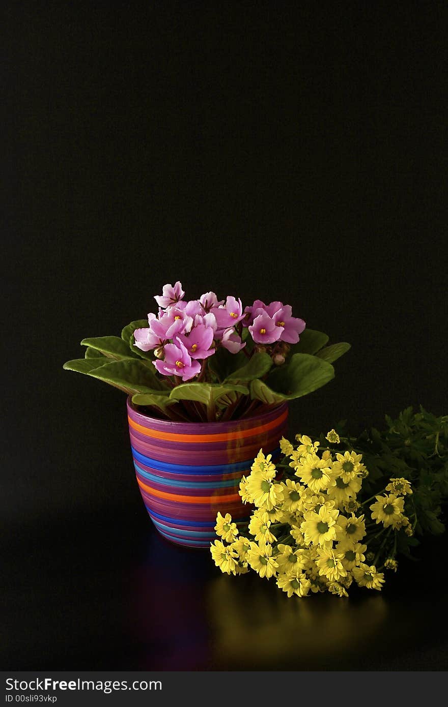 Pink and yellow flowers on black background. Pink and yellow flowers on black background