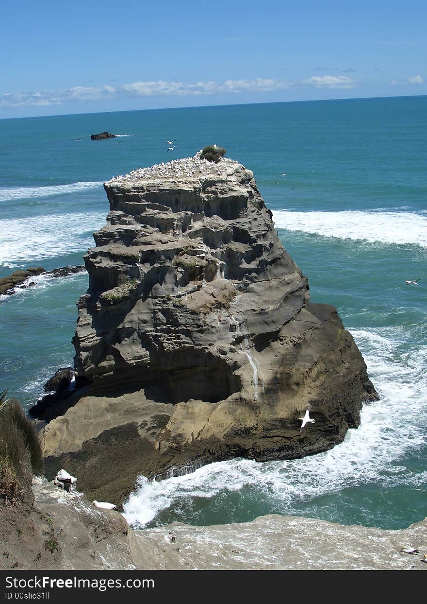 Rocky outcrop housing gannet colony