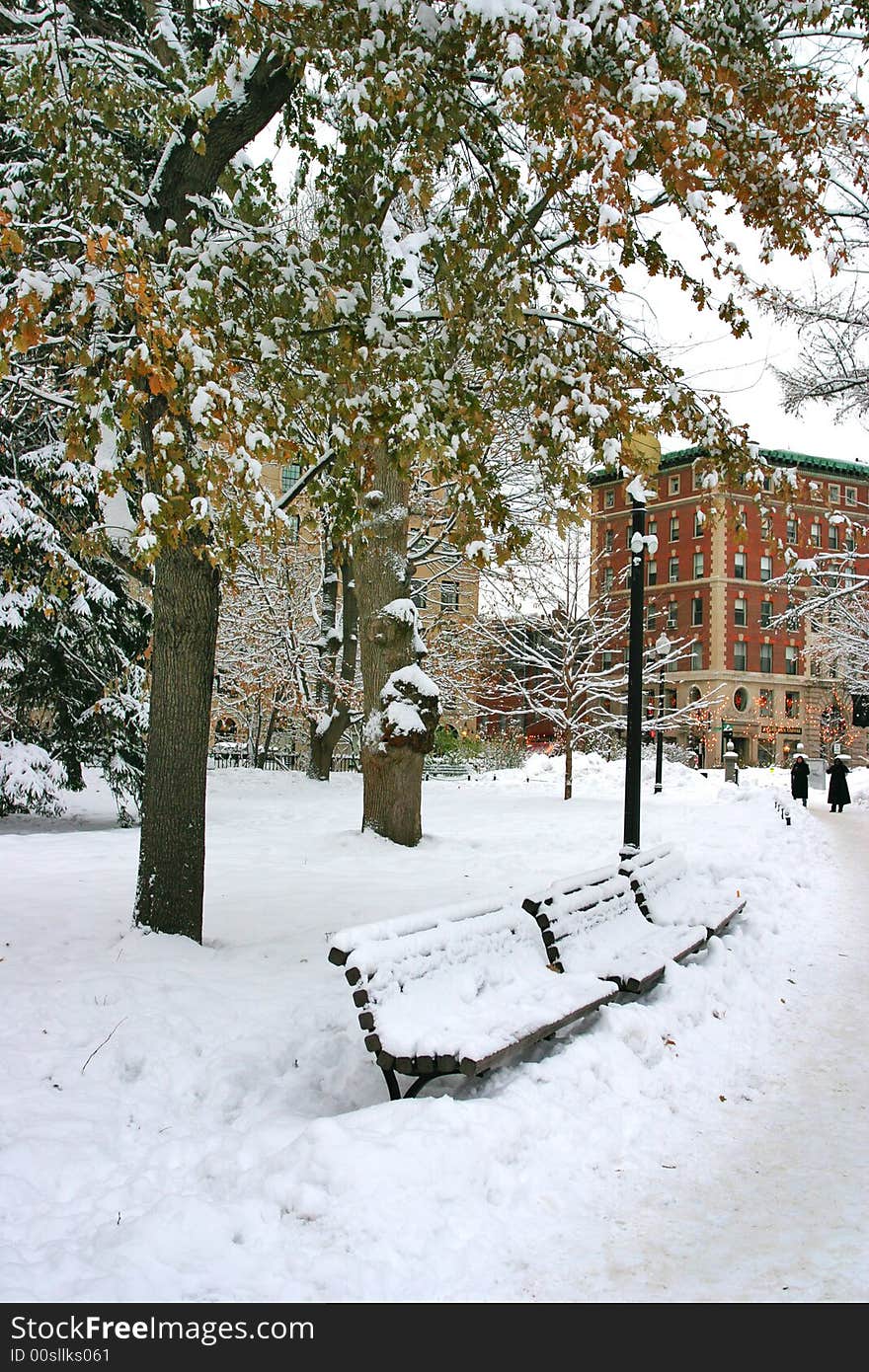 Stock image of a snowing winter at Boston, Massachusetts, USA. Stock image of a snowing winter at Boston, Massachusetts, USA