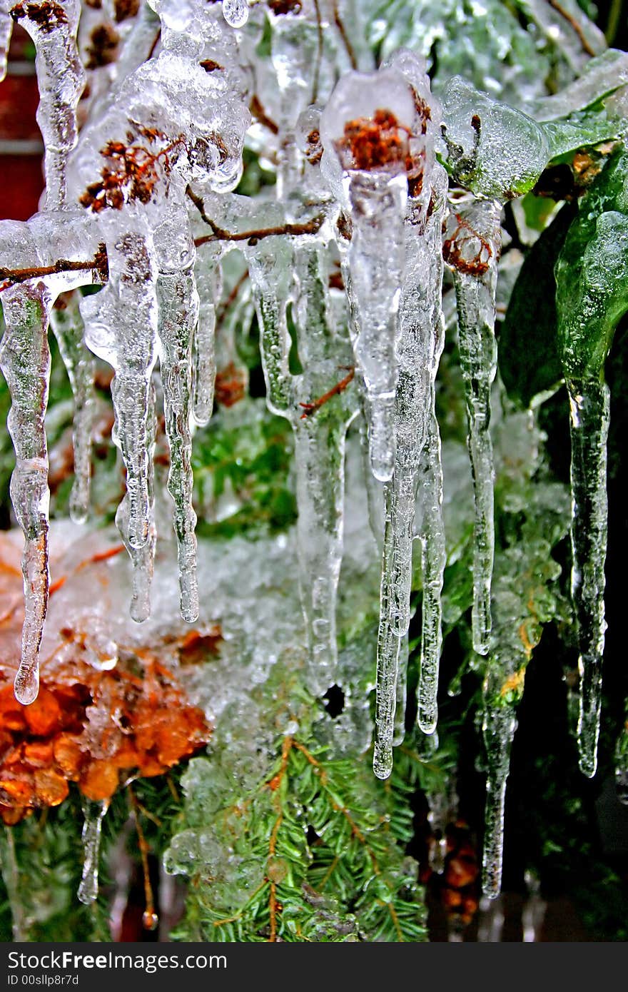 Stock image of a snowing winter at Boston, Massachusetts, USA. Stock image of a snowing winter at Boston, Massachusetts, USA