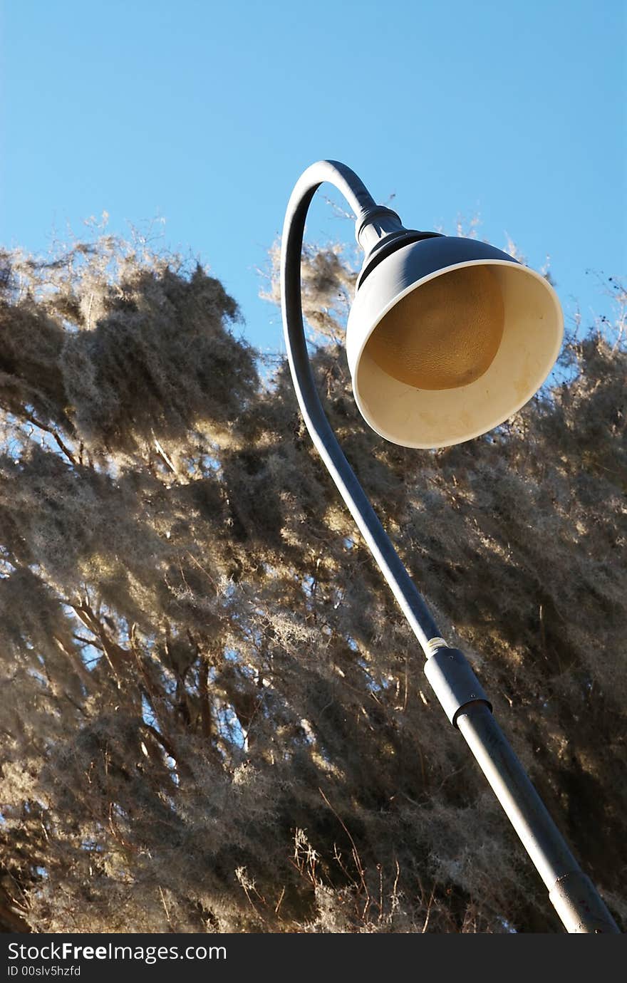 An old light post with tree covered in spanish moss in background. An old light post with tree covered in spanish moss in background.