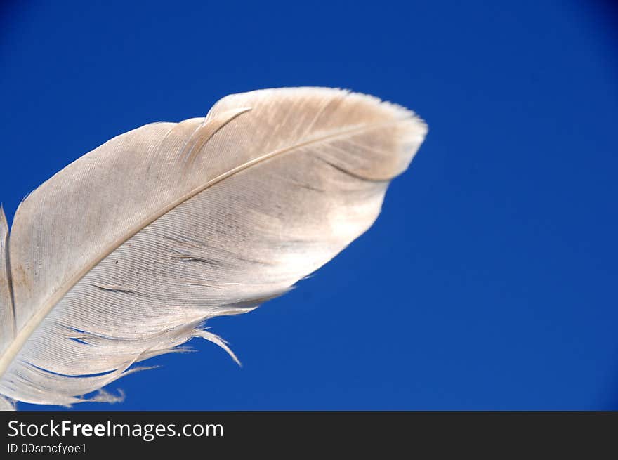 A view with a feather against blue sky