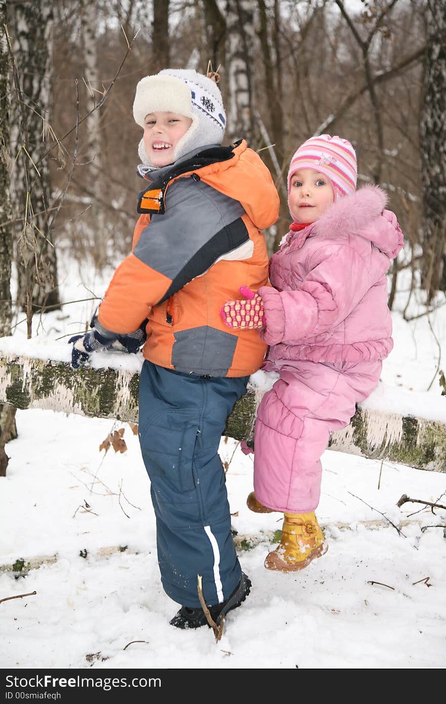 Boy And Girl Sit On Fallen Tree