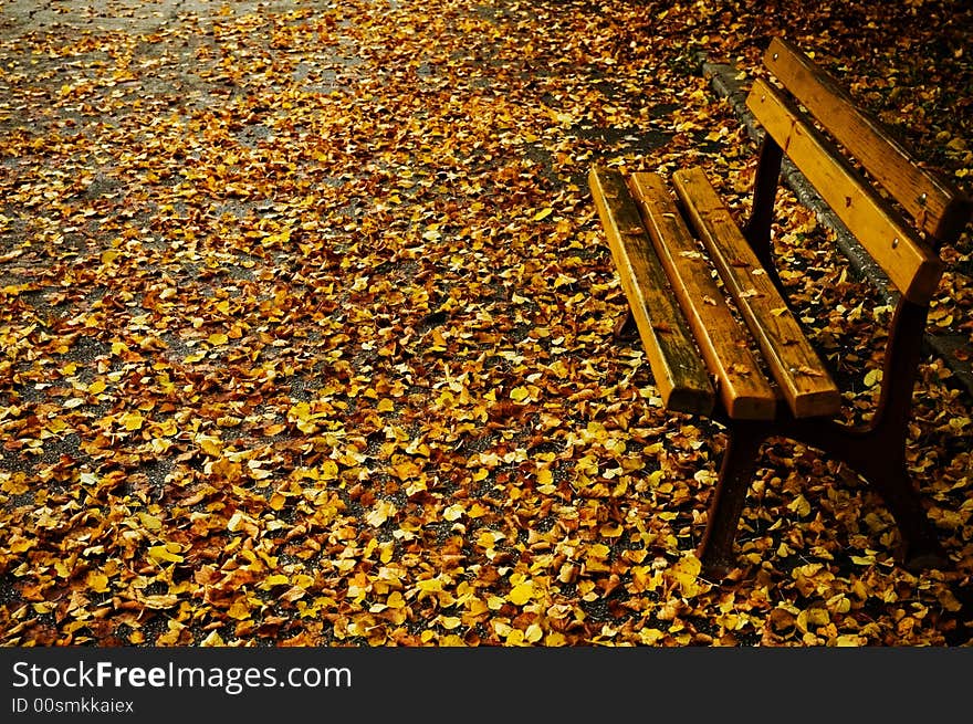 Bench in autumn, yellow leafs fallen on ground