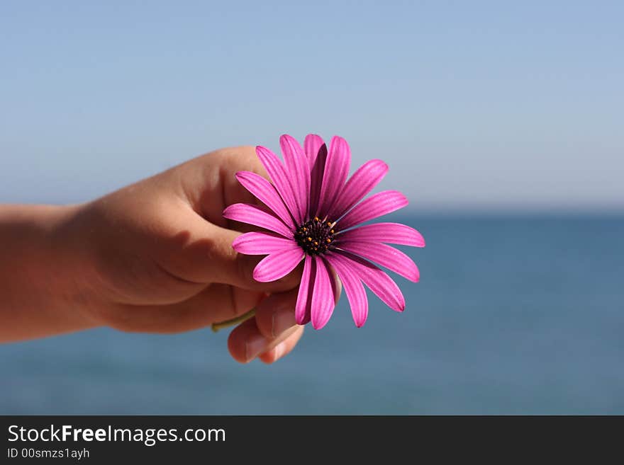 A child is holding a flower by the sea. A child is holding a flower by the sea