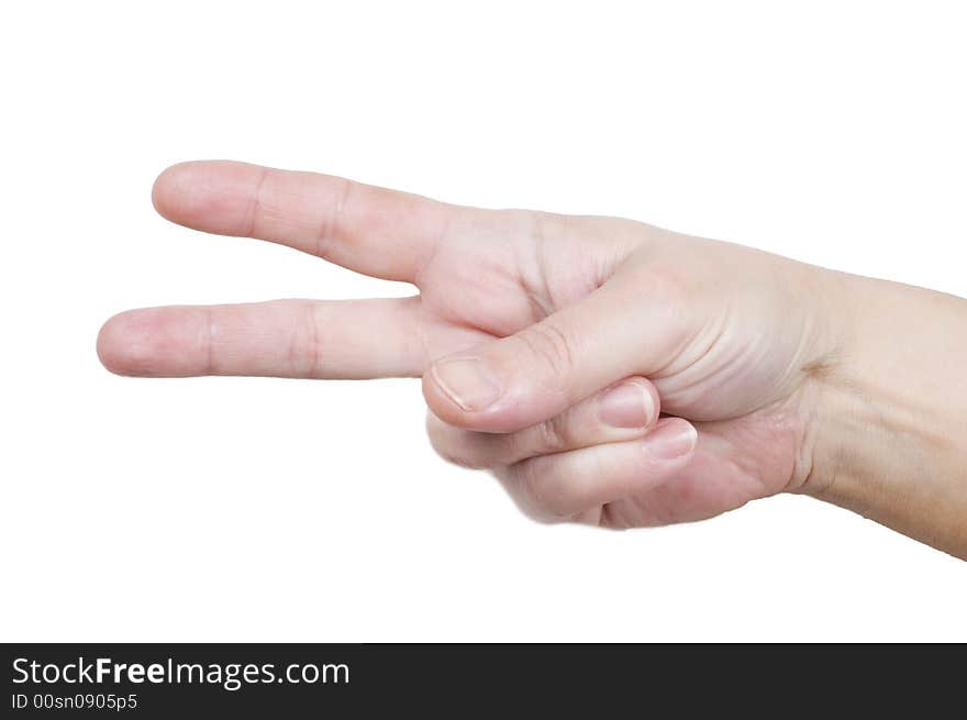 Counting Hand on the white background