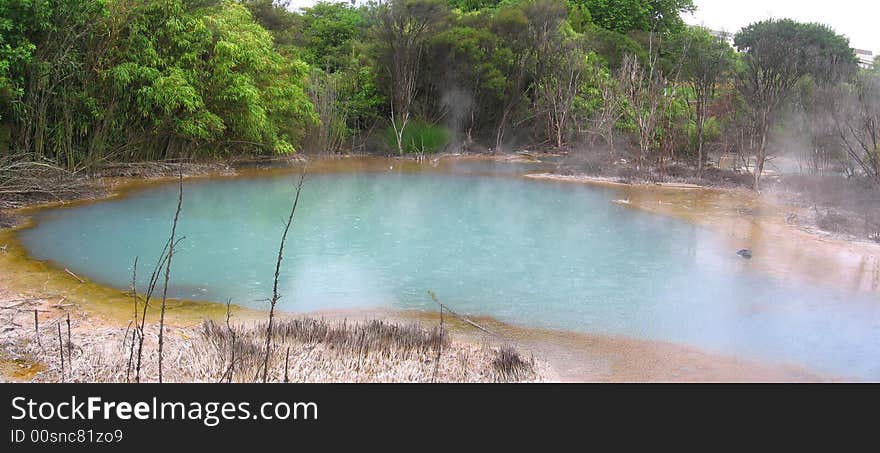 Geothermal area in New Zealand.