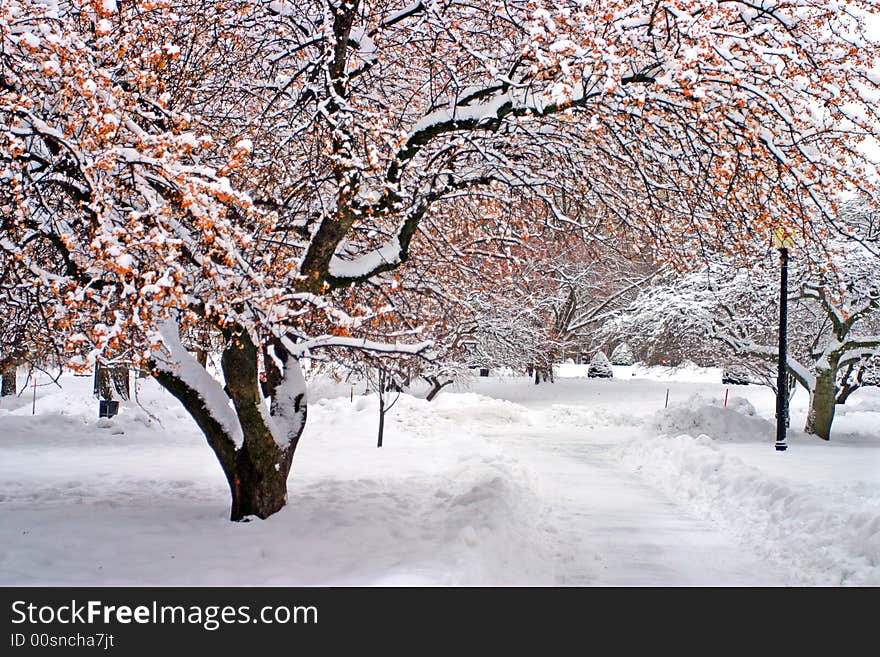 Stock image of a snowing winter at Boston, Massachusetts, USA. Stock image of a snowing winter at Boston, Massachusetts, USA