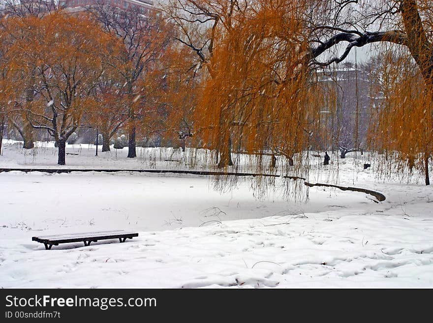 Stock image of a snowing winter at Boston, Massachusetts, USA. Stock image of a snowing winter at Boston, Massachusetts, USA