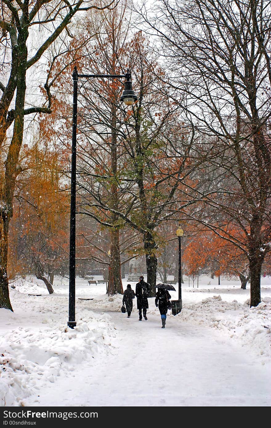 Stock image of a snowing winter at Boston, Massachusetts, USA. Stock image of a snowing winter at Boston, Massachusetts, USA