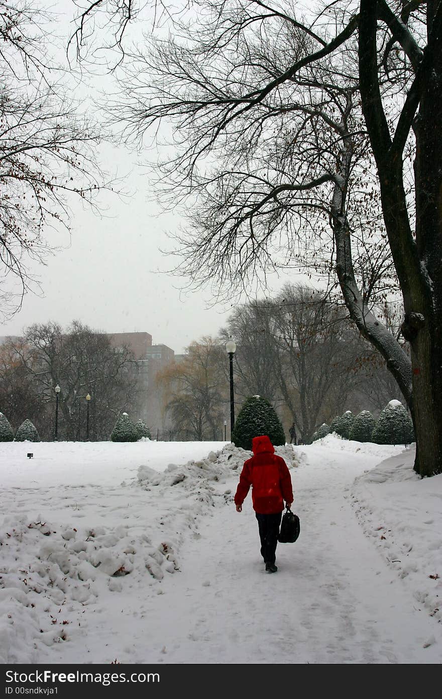 Stock image of a snowing winter at Boston, Massachusetts, USA. Stock image of a snowing winter at Boston, Massachusetts, USA