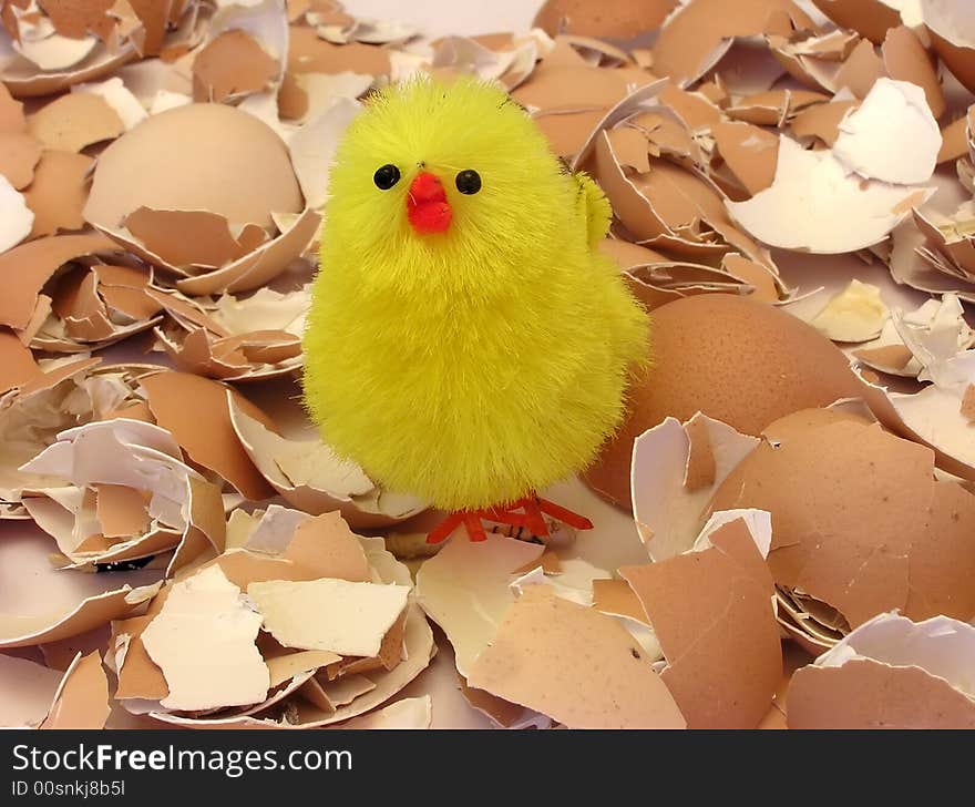 Easter yellow chicken on eggs shells, eastern table. Easter yellow chicken on eggs shells, eastern table