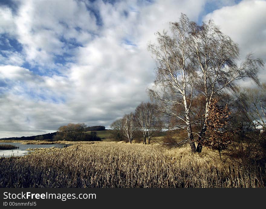 Pond in birch tree clouds strong wind. Pond in birch tree clouds strong wind