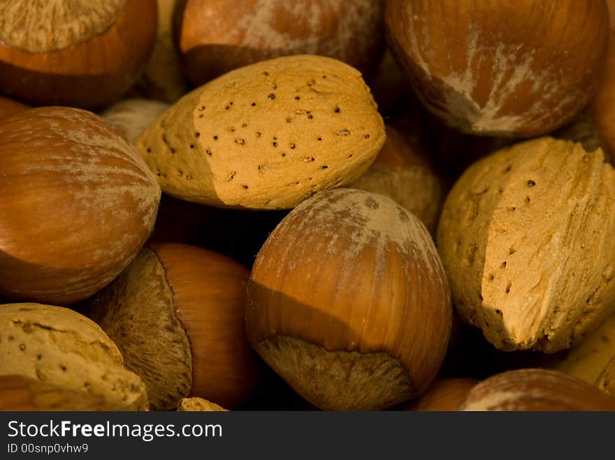 Some chestnuts illuminated by the sun, Excellent photo for background. Some chestnuts illuminated by the sun, Excellent photo for background