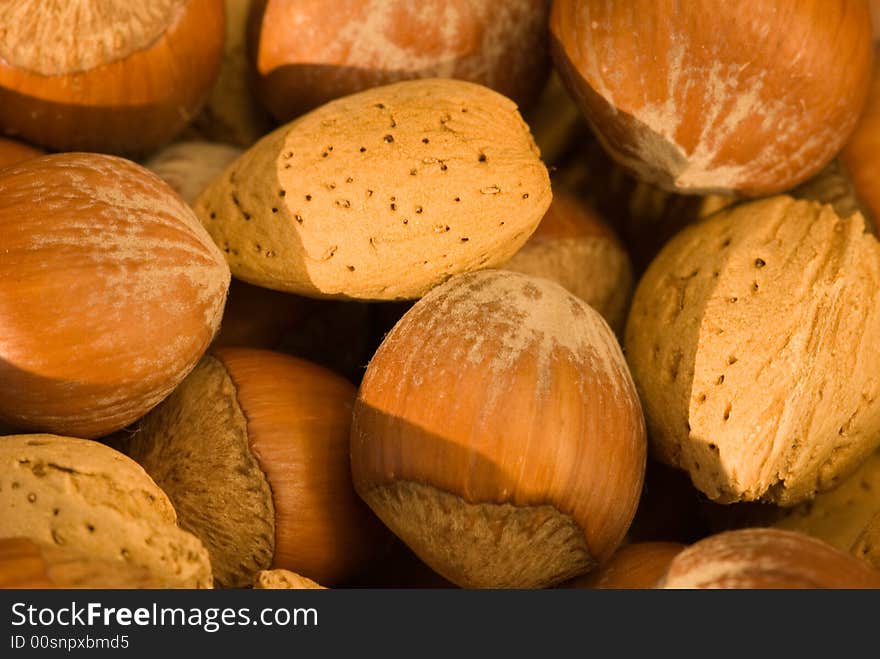 Some chestnuts illuminated by the sun, Excellent photo for background. Some chestnuts illuminated by the sun, Excellent photo for background