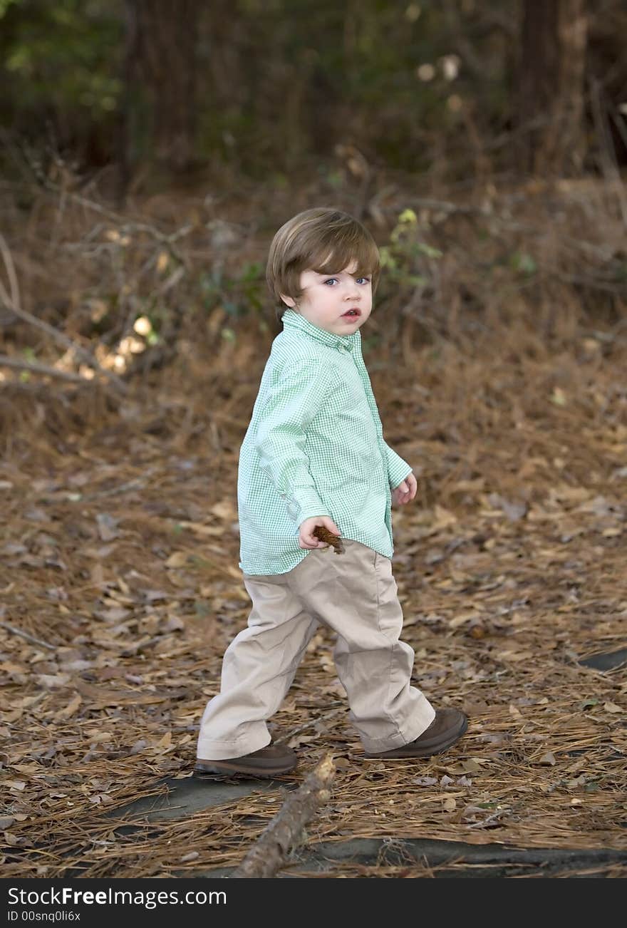 Toddler In Nature