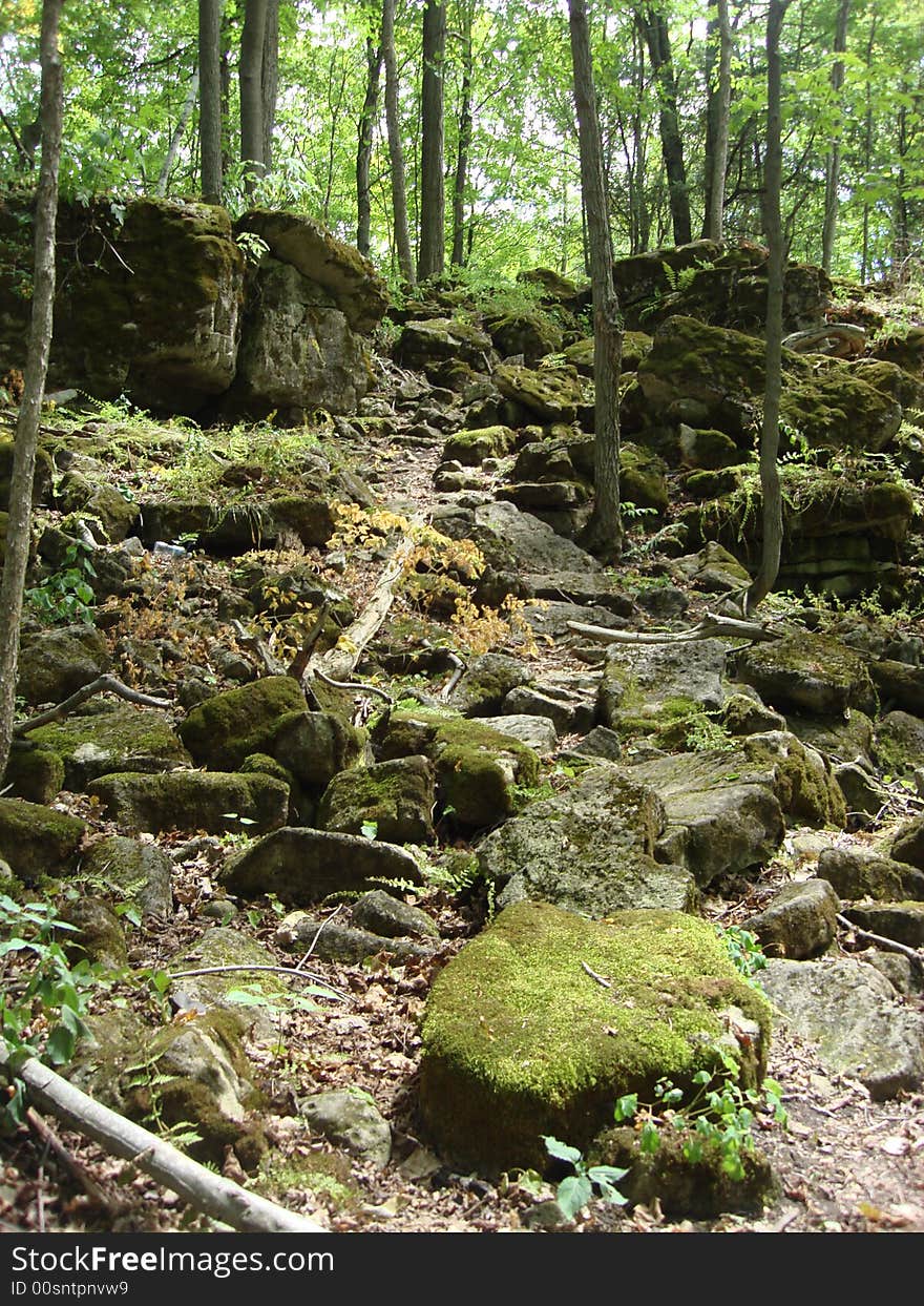 Stepping Stones