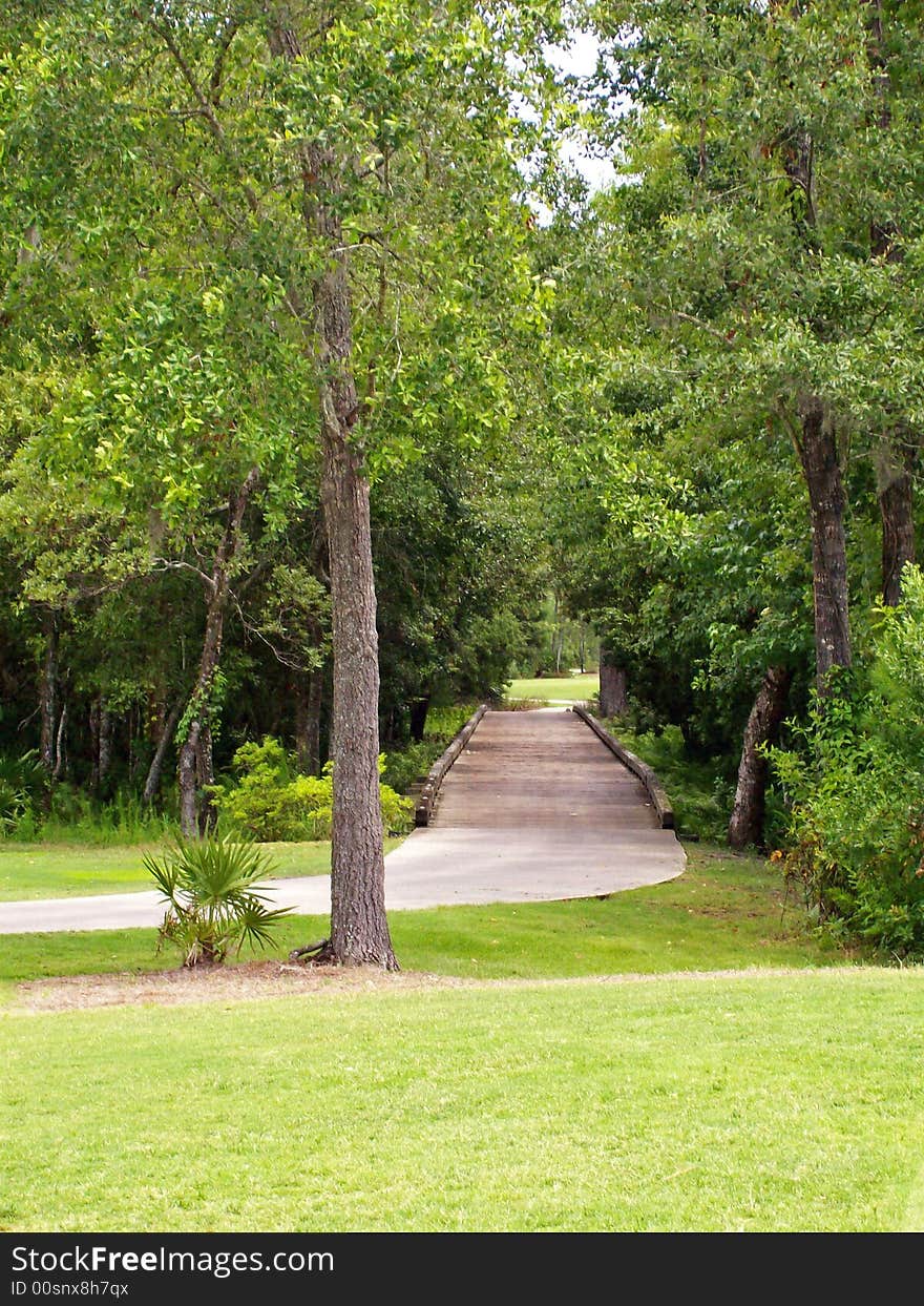 A small wooden bridge leading to the next hole. A small wooden bridge leading to the next hole.