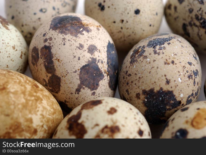 Quail mottled eggs close up