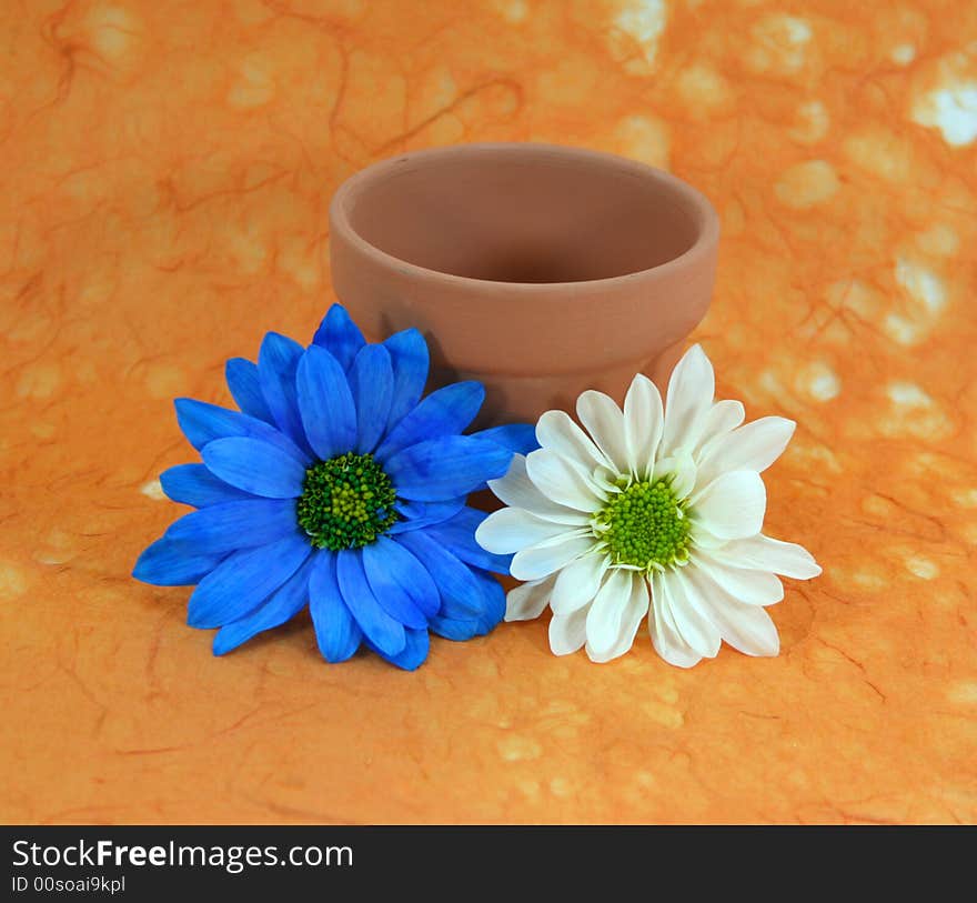 A blue daisy and a white daisy with a terracotta flowerpot on a textured orange background. A blue daisy and a white daisy with a terracotta flowerpot on a textured orange background.