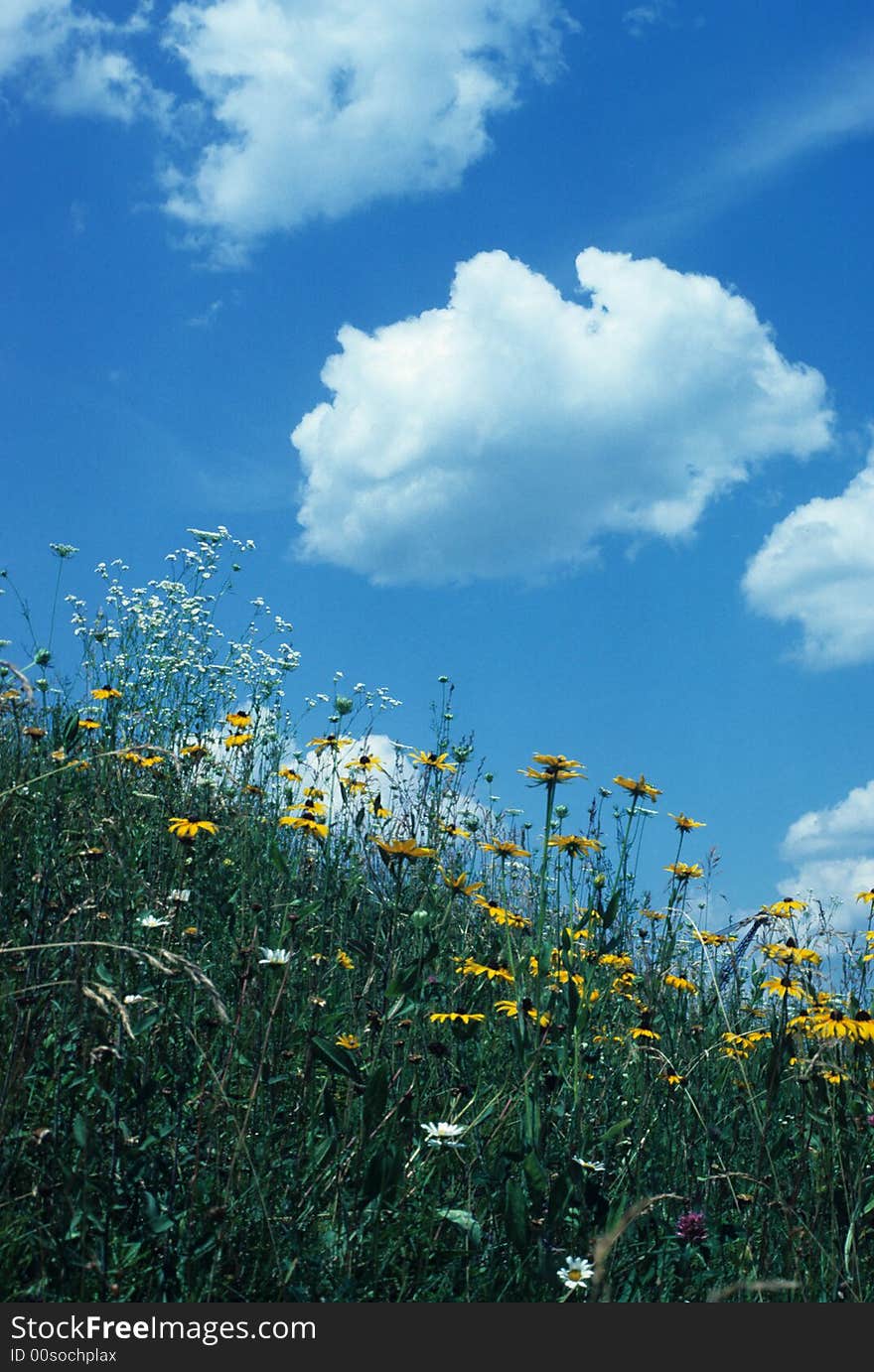 Clouded field