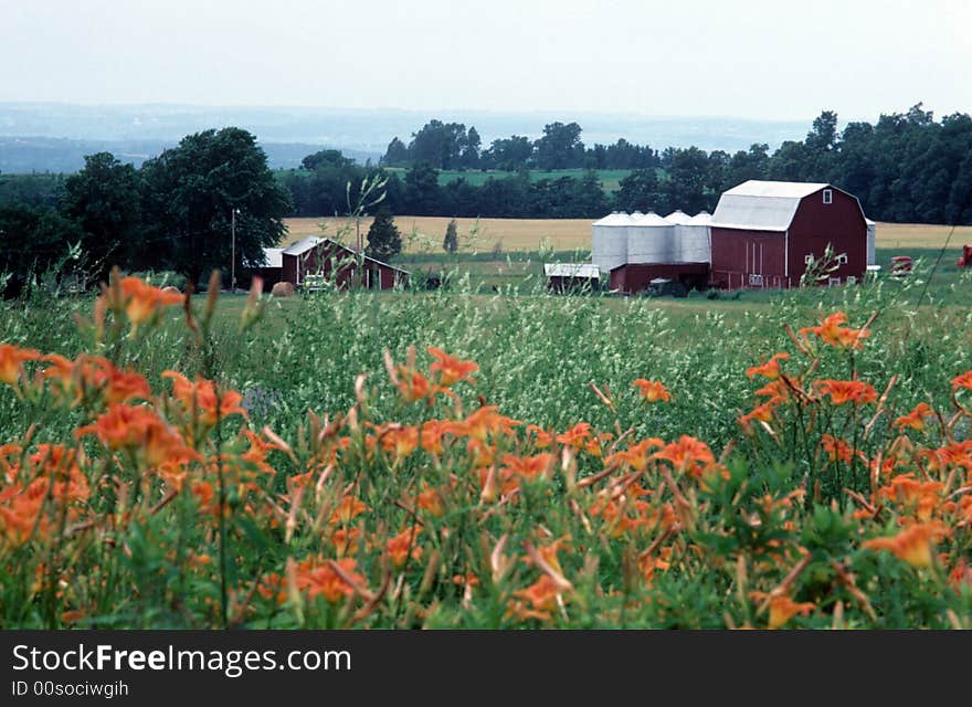 Agriculture on the rise