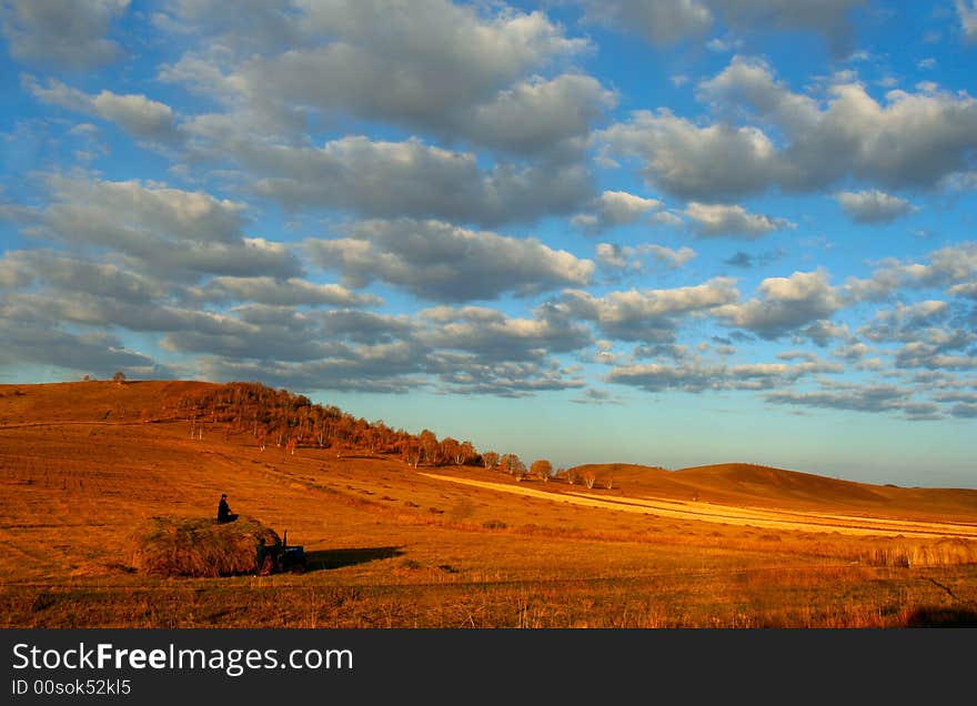 Grassland Of China