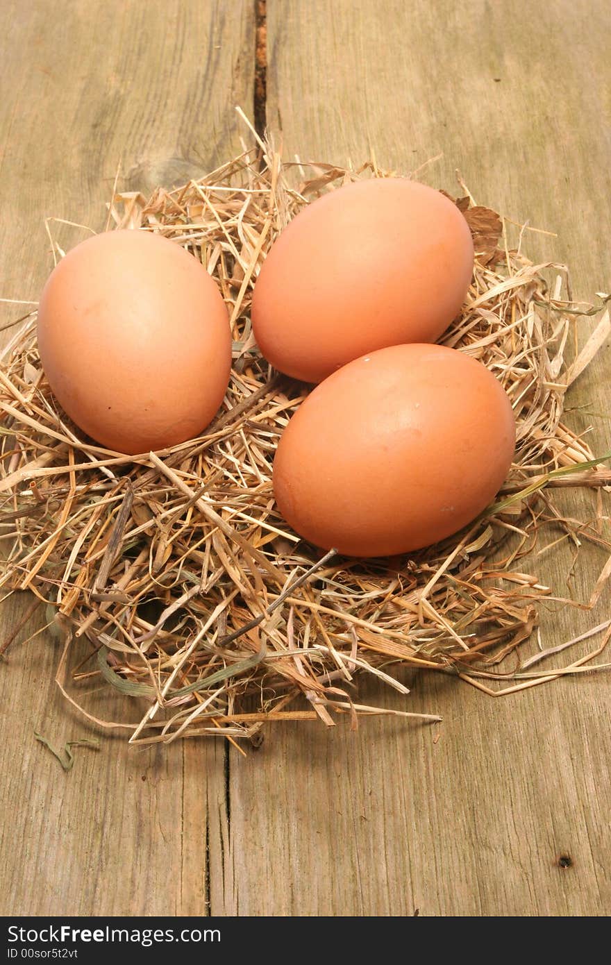 Eggs on straw