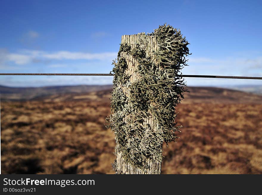 The barren land of the Cairn O Mount, Aberdeen shire. Scotland,. The barren land of the Cairn O Mount, Aberdeen shire. Scotland,