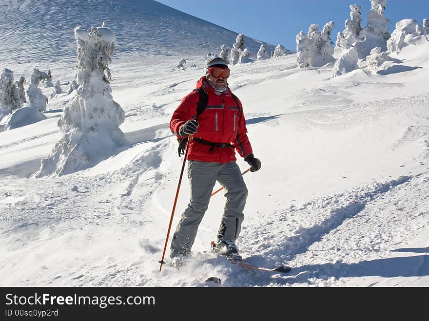 Skier moving through icy forest