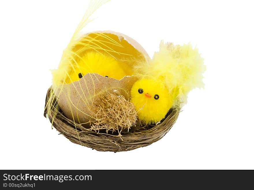 A nest with newborn yellow easter chickens