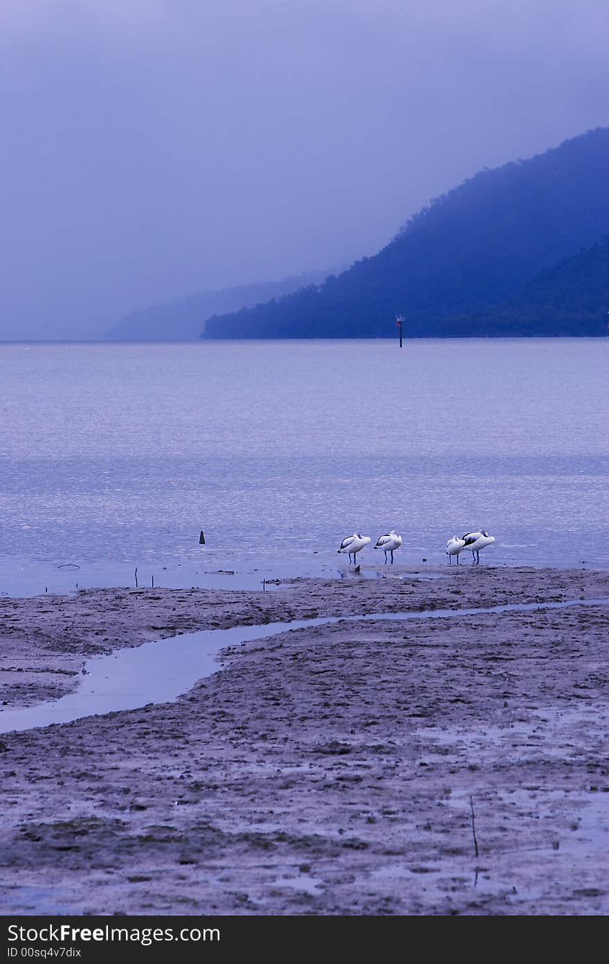 A shot of the harbour in Cairns Far North Queensland. A shot of the harbour in Cairns Far North Queensland