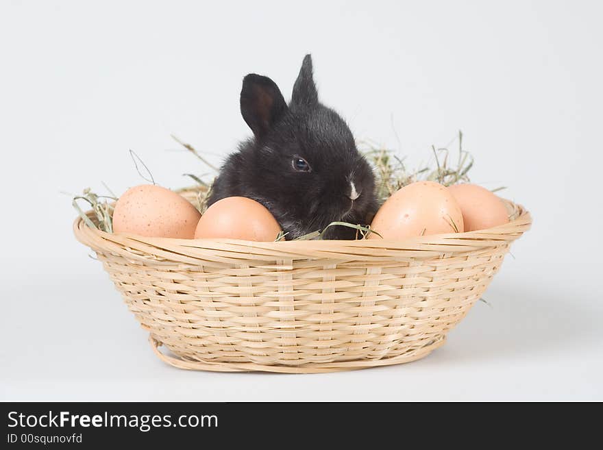 Black bunny in the basket and some eggs