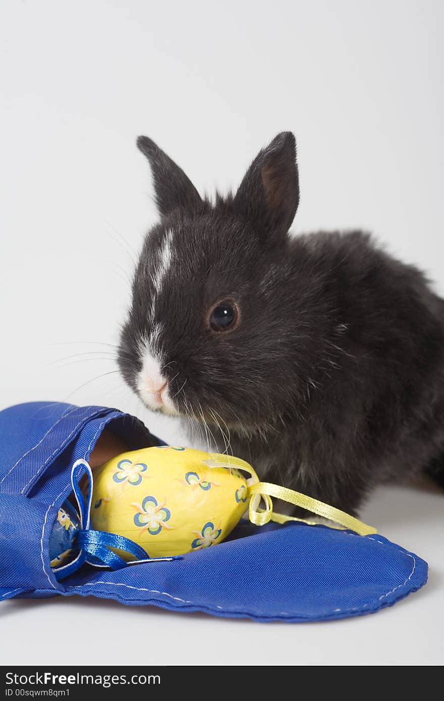 Black bunny and backpack and a yellow easter egg