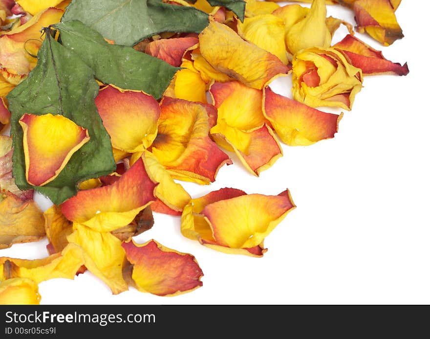 Withered rose petals