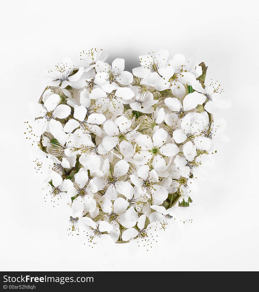 Apple flower on heart bowl on white background. Apple flower on heart bowl on white background